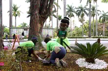 2025_10_04_Instu Unimed_Plantio de mudas Floriano Peixoto_040_Foto Juliano Fonseca_Bendita Conteúdo