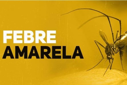 febre amarela