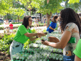 8-3-2_AniversárioIUBH_2-png