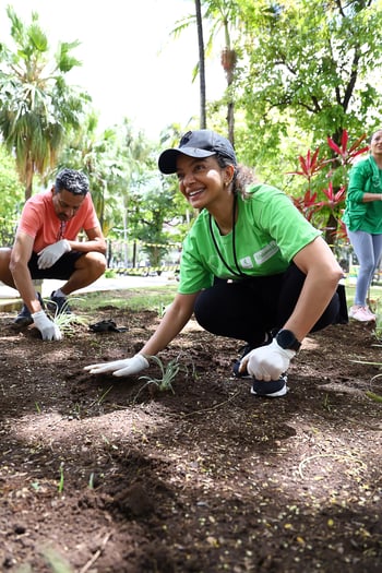 Responsabilidade Ambiental