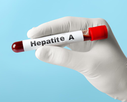 hepatite