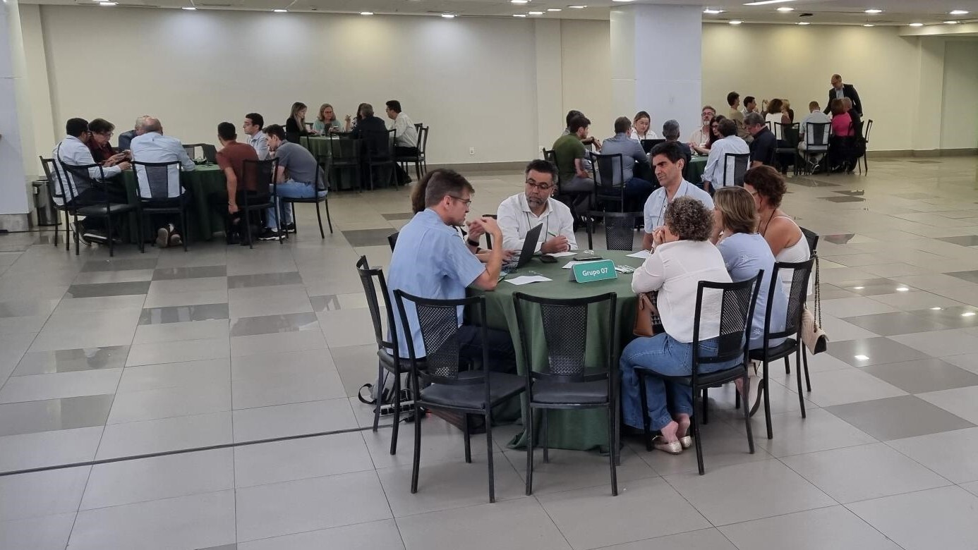 Conselho Social - Grupos